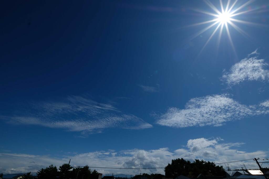 申し訳ないほど晴れた空