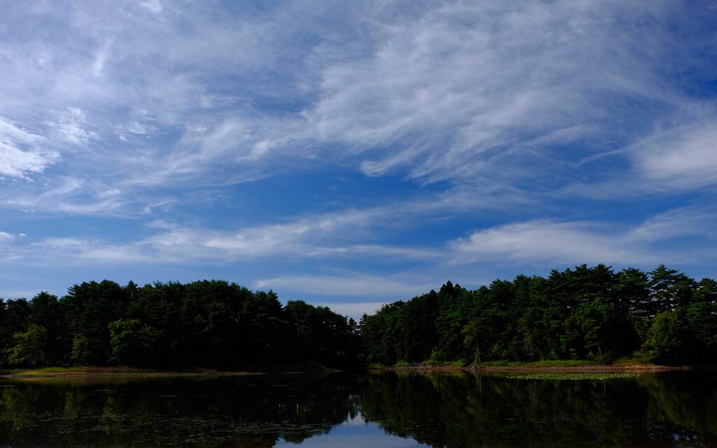 今日の空