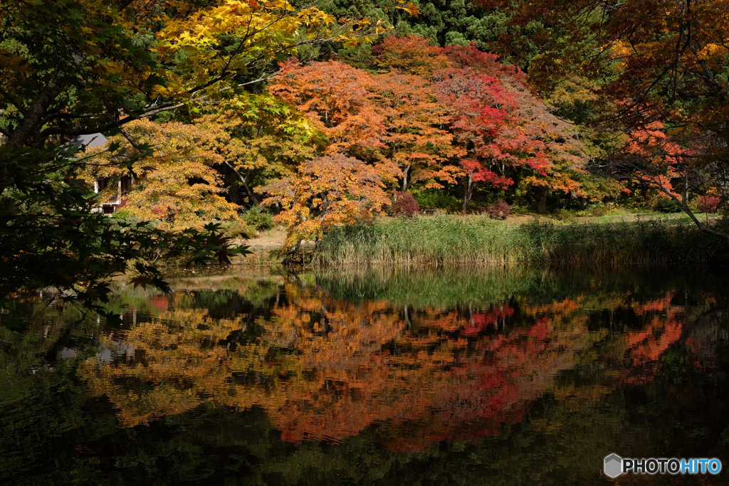 紅探し(2)