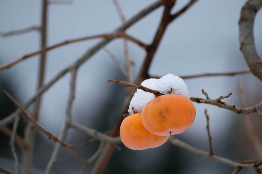 寒くても二人なら