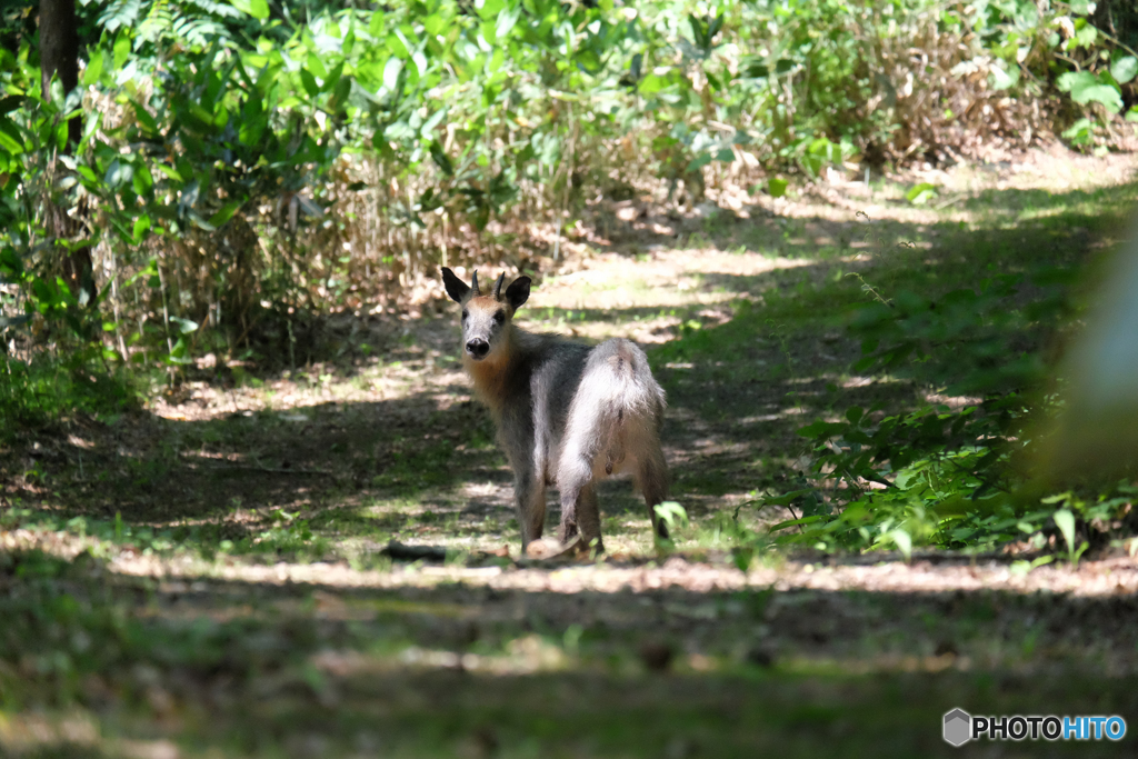 狼野長根公園にて(2)