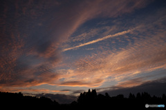 西の空