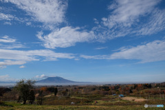 小春日和