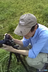 撮るところを撮られるの図