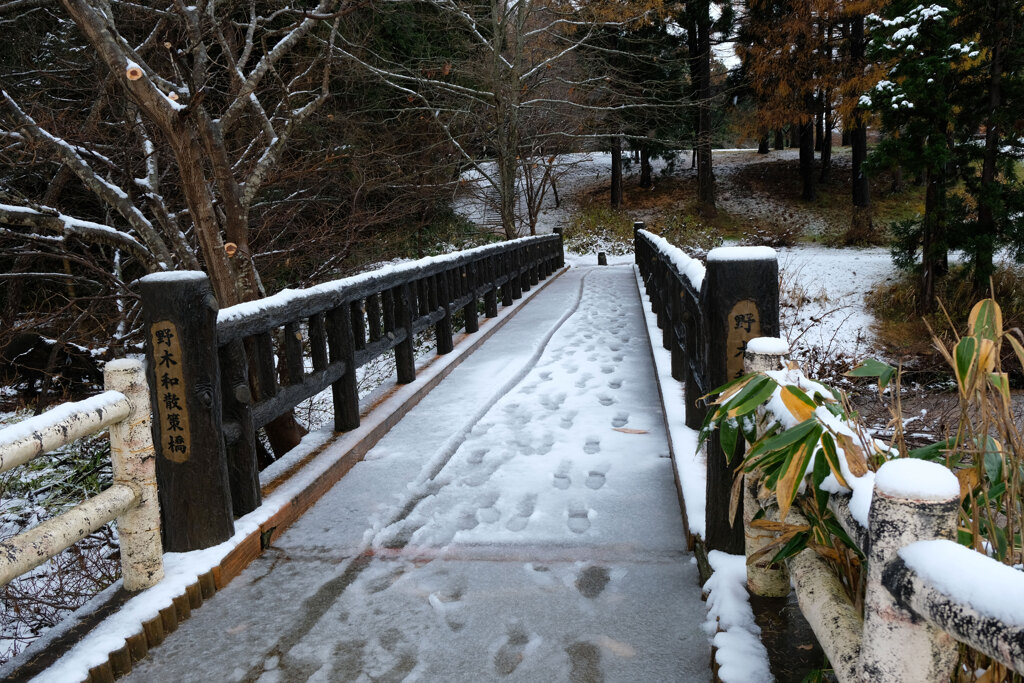 雪道散策