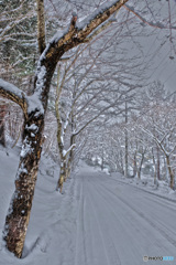 雪のある坂道