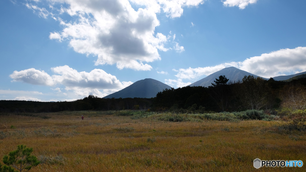 湿原から望む八甲田山１