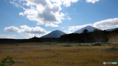 湿原から望む八甲田山１