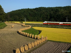 収穫の頃