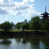 散歩～興福寺