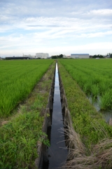水路