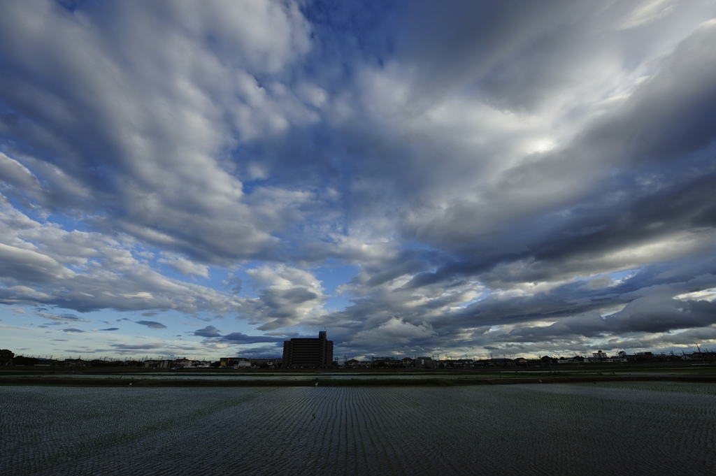 雲