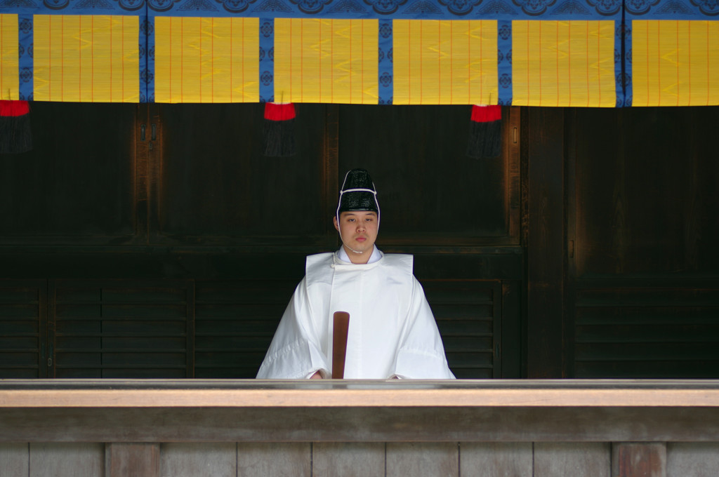 IMGP0698_副本