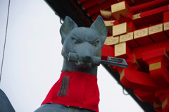 京都旅行