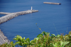 小田原と熱海