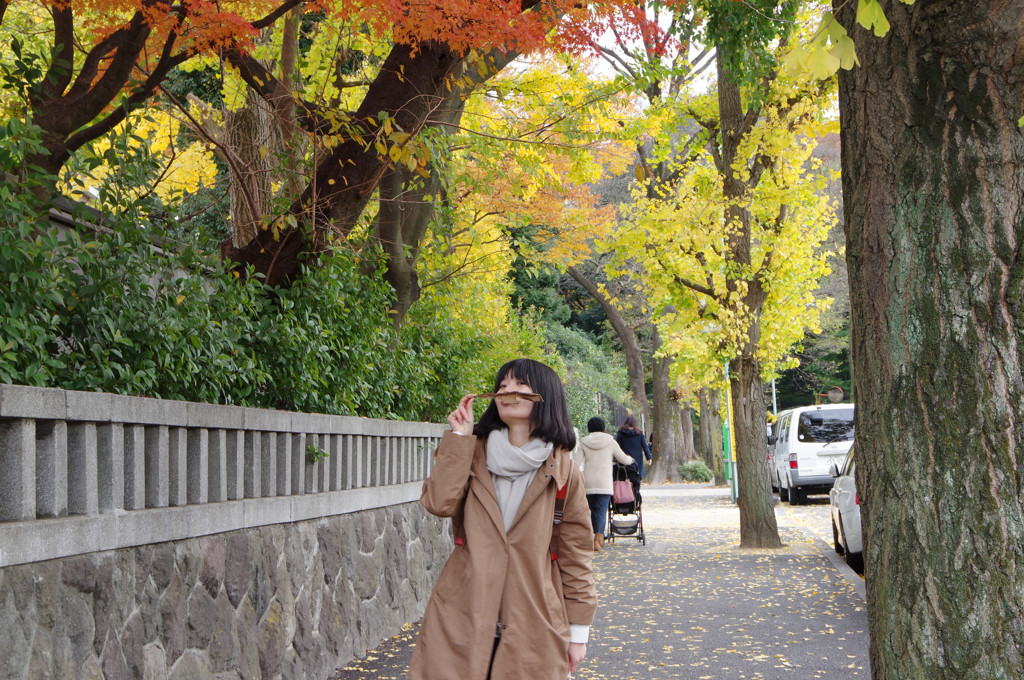 IMGP0817_副本