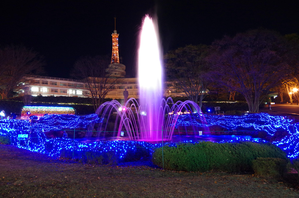 IMGP0465
