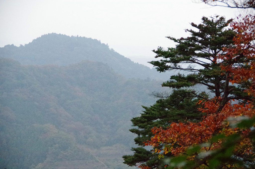 高尾山