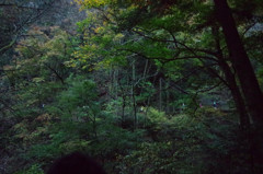 高尾山