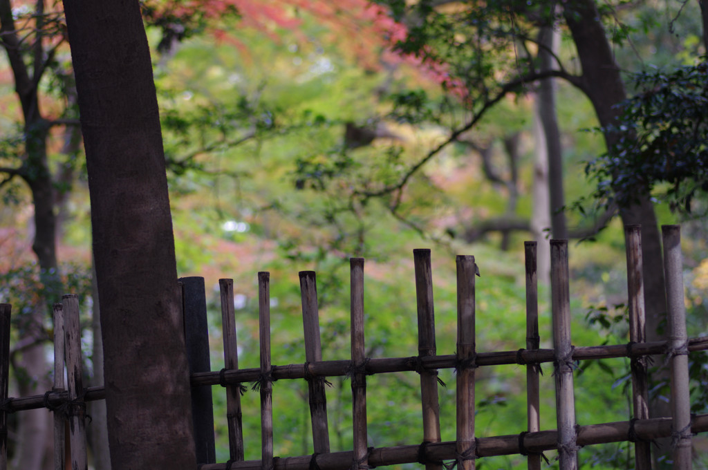 IMGP0684_副本