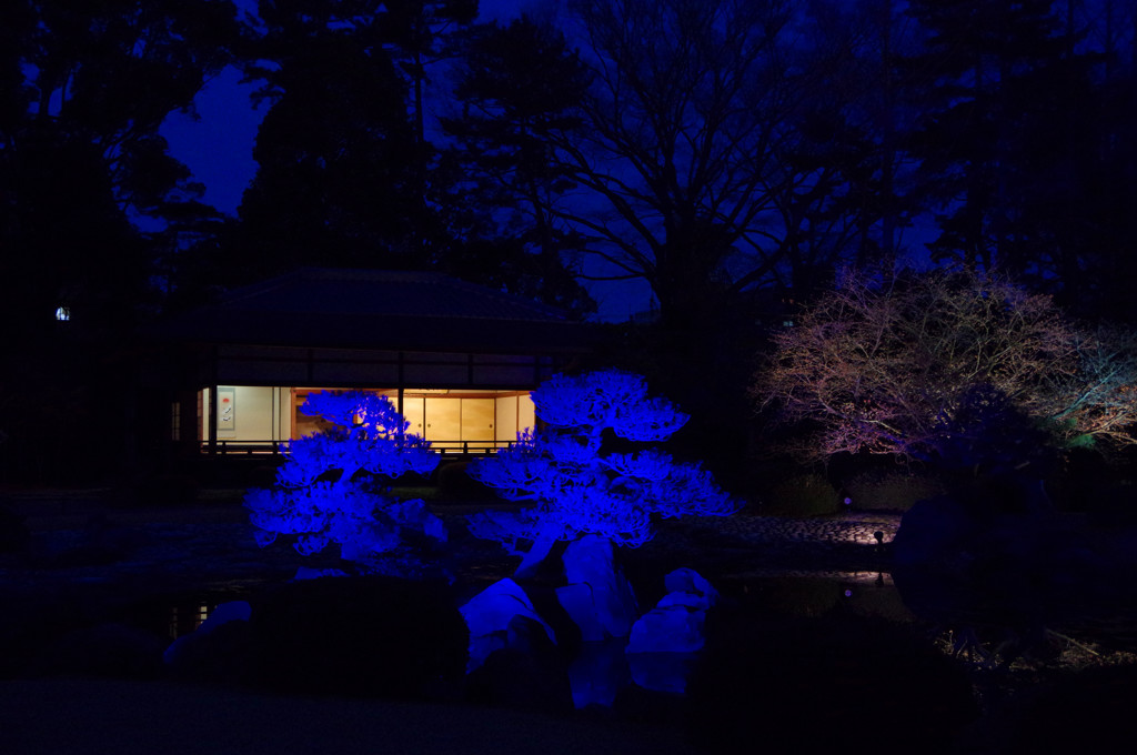 京都旅行
