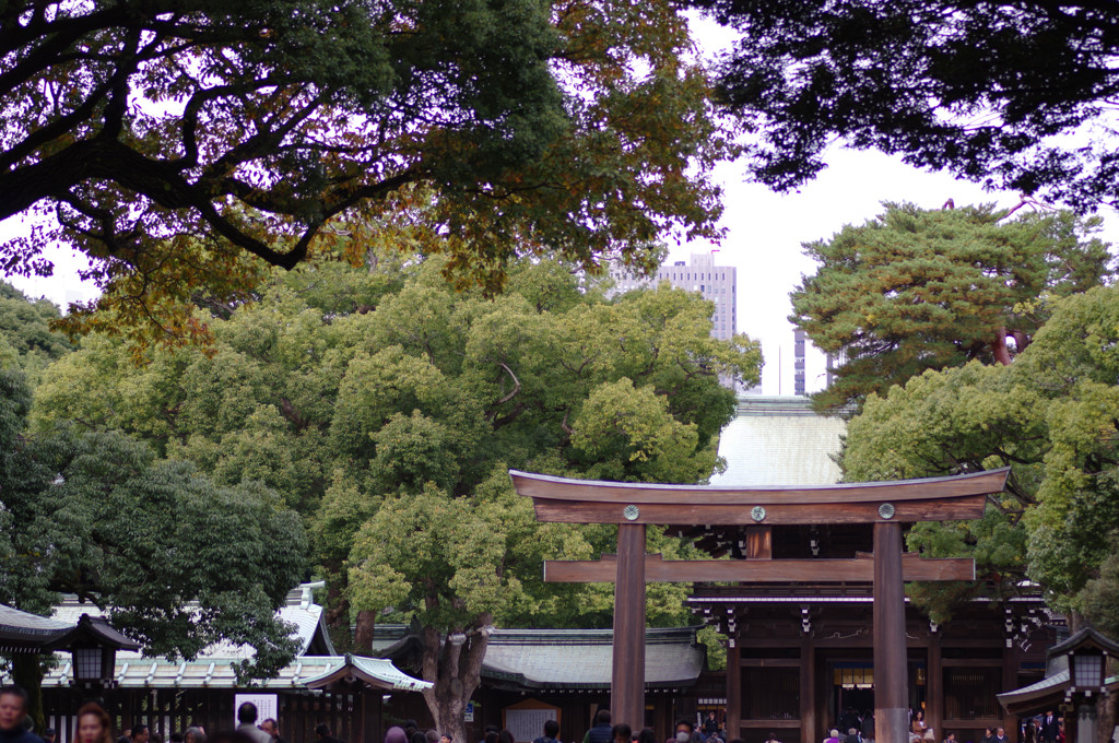 IMGP0691_副本