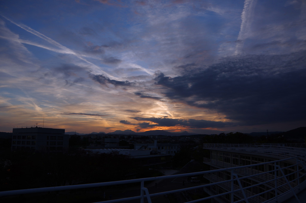IMGP0229_副本