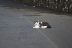 家の周辺