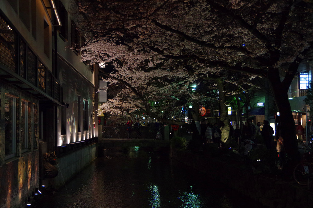 京都旅行