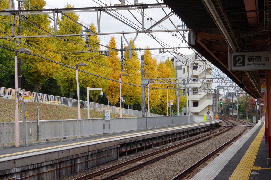 IMGP0825_副本