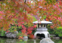 秋爛漫の長州庭園１