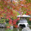 秋爛漫の長州庭園１