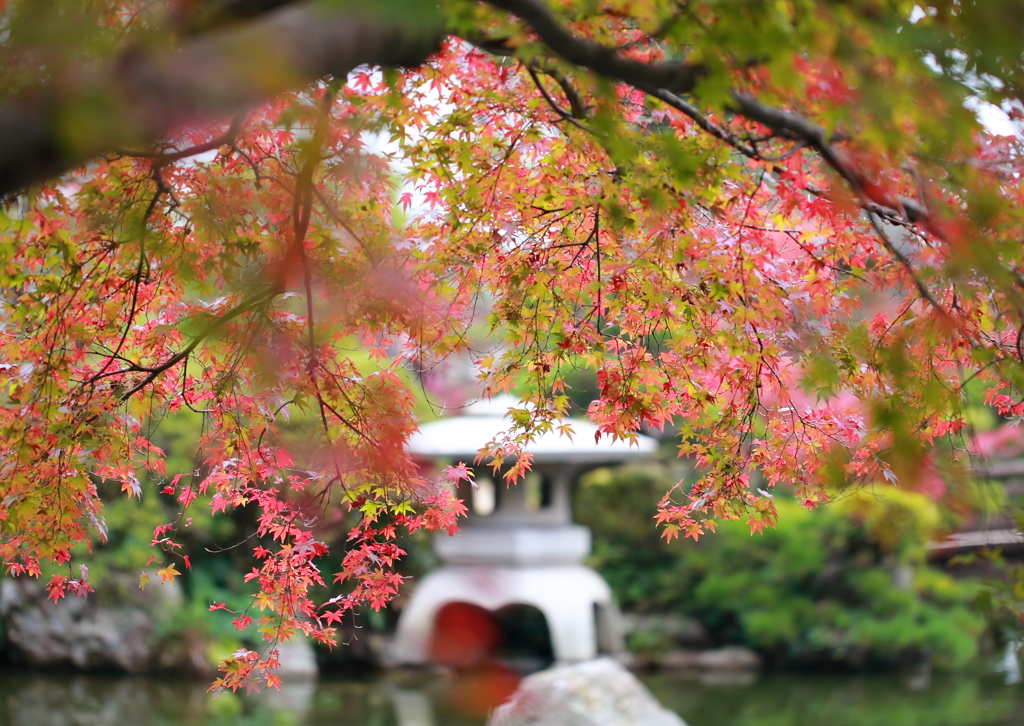 秋爛漫の長州庭園２