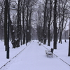 雪の小道（サンクトペテルブルク）１