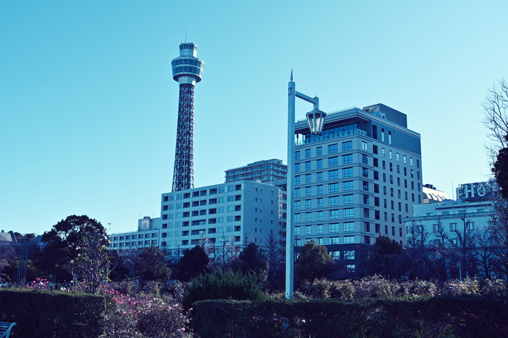 横浜マリンタワー