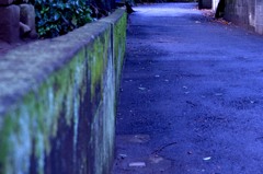 雨のあとの路地