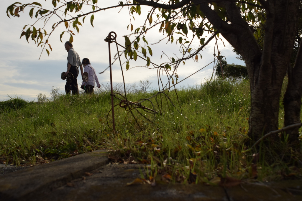 母の手を引いて