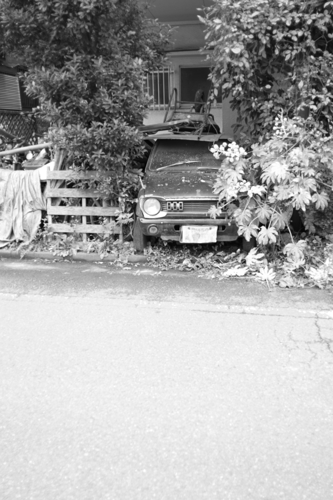 ぼくを忘れないで