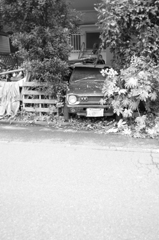 ぼくを忘れないで