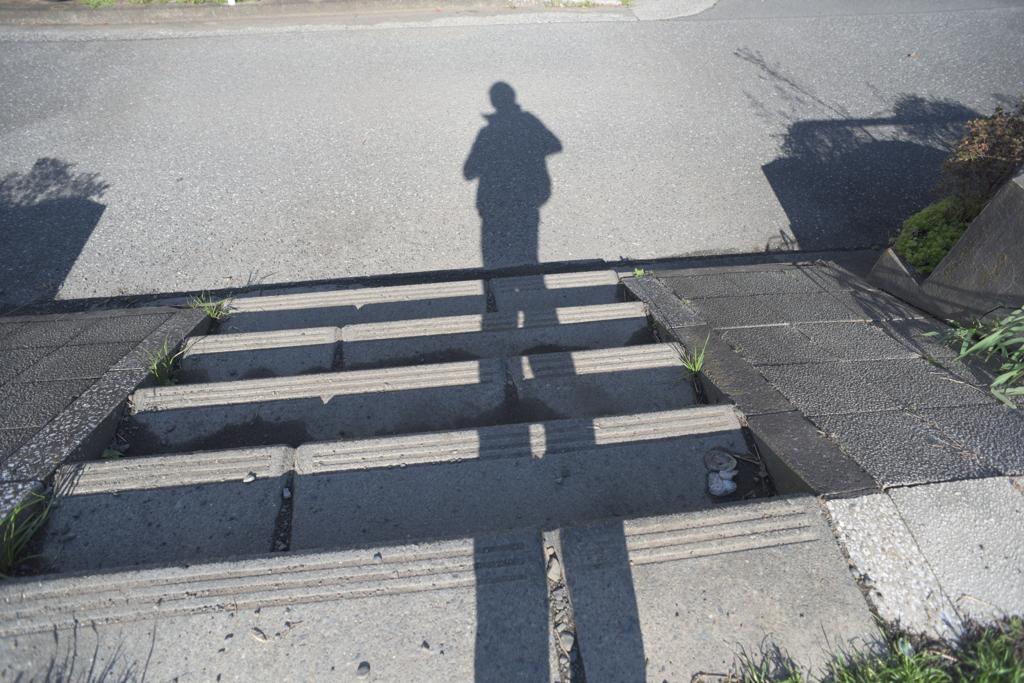 今日からフルサイズ