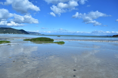 冬の海