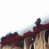 雪の日