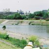 Kamogawa sketching