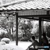 Shi－sen-do