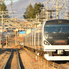 甲斐路を噛み締めて