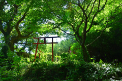 神秘