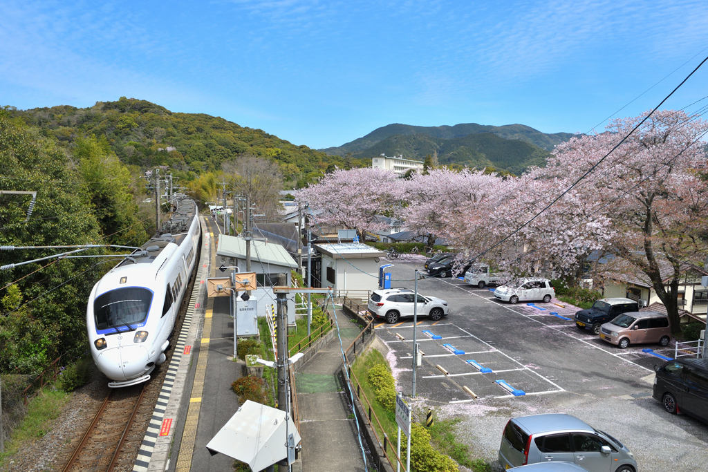 春の景色