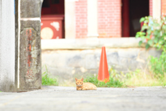 鎮座