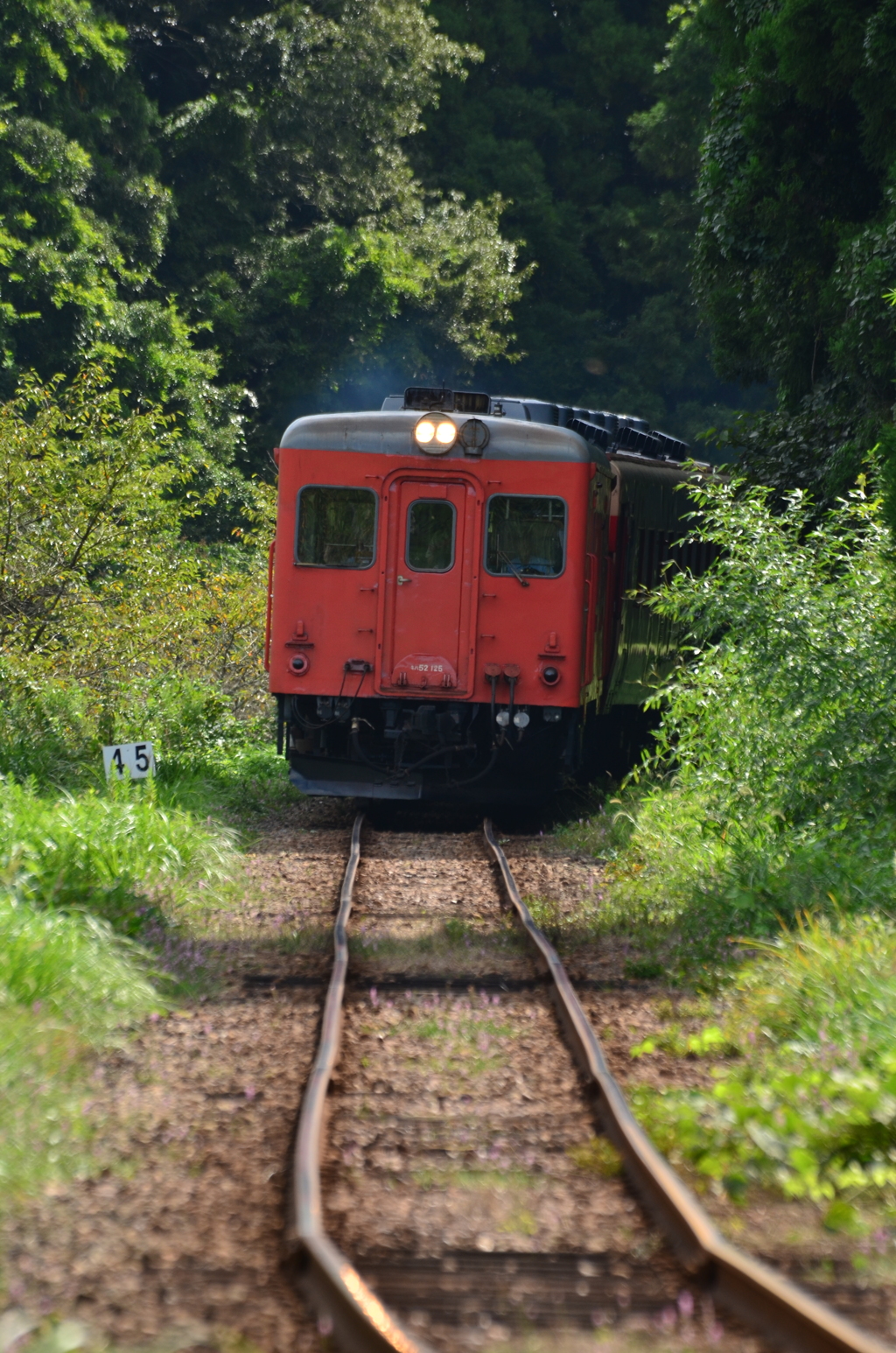 山間部