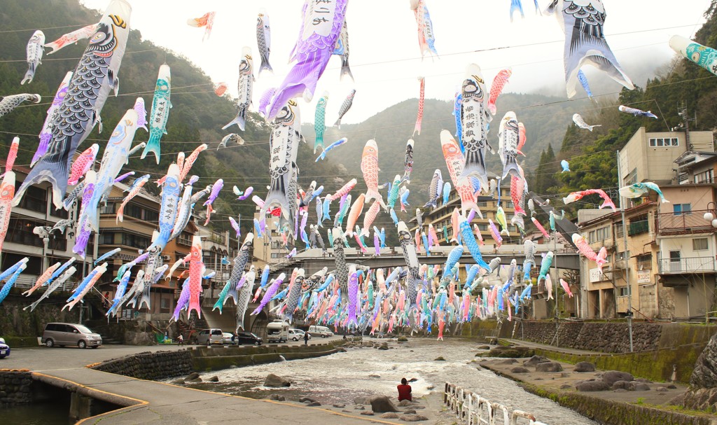 杖立温泉～鯉のぼり～